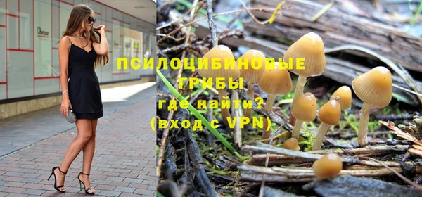 бошки Абинск