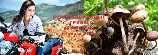 ALPHA-PVP Алексеевка