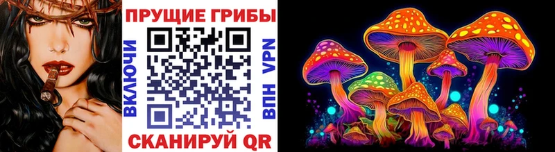 Галлюциногенные грибы Cubensis дарнет шоп Белоозёрский